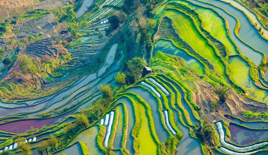宝妈必备神器：城口产品视频拍摄轻松育儿好帮手